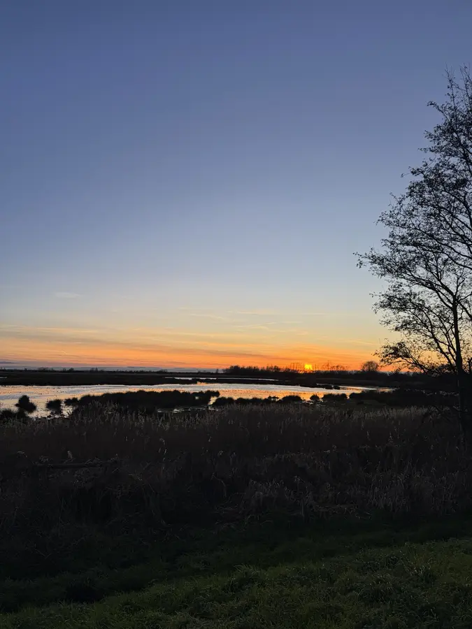 Golden sunset reflected in still water between dark reedbeds at Wicken Fen